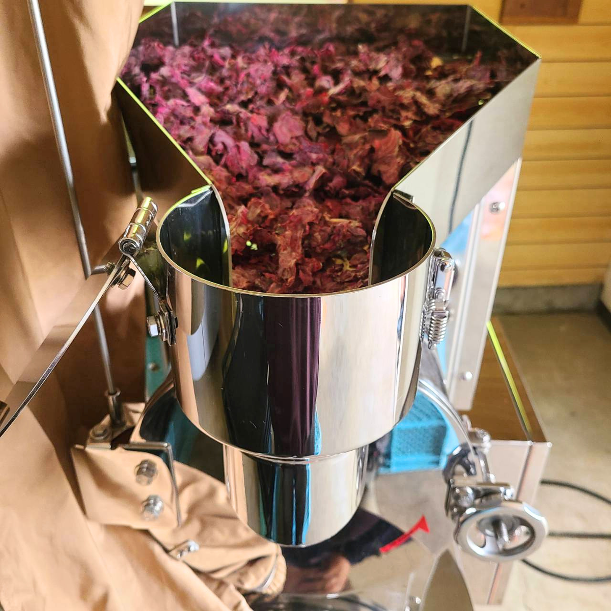 ケール×ビーツ 野菜パウダー 2種お試しセット 30g×2 茨城県産(栽培期間中農薬・化学肥料・除草剤・防虫剤不使用)