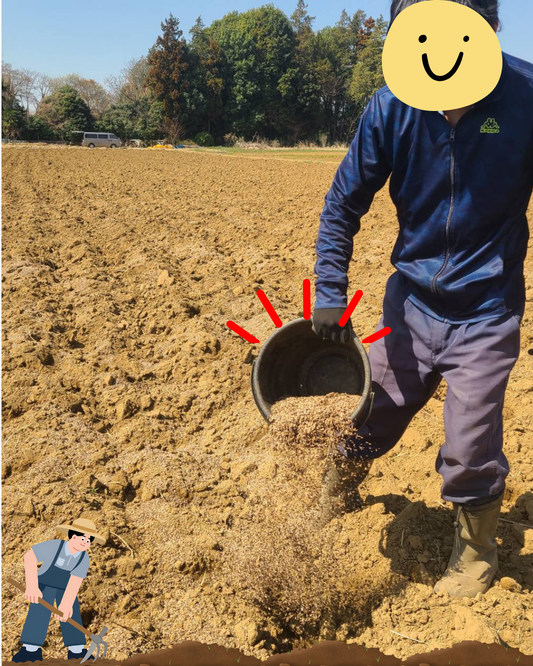 🌱 土を元気に！畑にぼかしを蒔いています