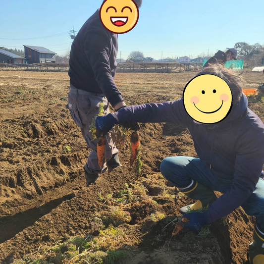 ❄️ 寒さが厳しい季節になりました
