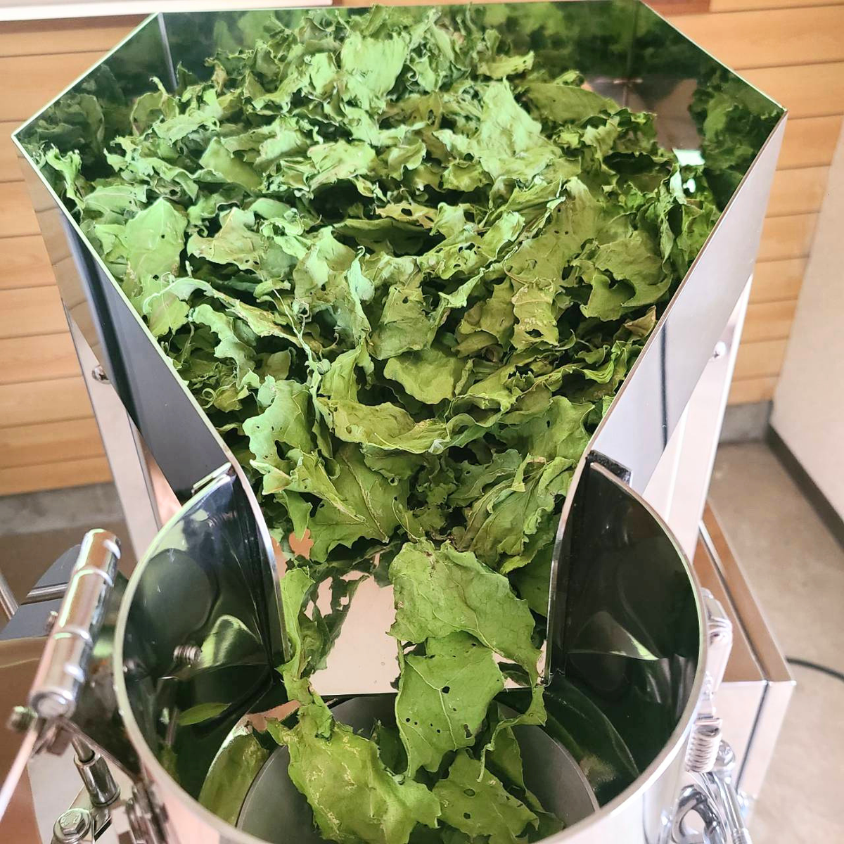 ケール×ビーツ 野菜パウダー 2種お試しセット 30g×2 茨城県産（栽培期間中農薬・化学肥料・除草剤・防虫剤不使用）