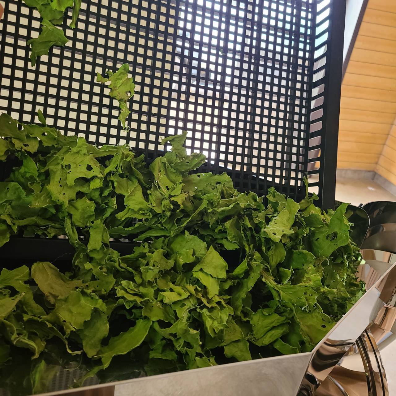 ケールパウダー βカロテンを届けるこだわり栽培のケールをそのまま粉末に 茨城県産（栽培期間中農薬・化学肥料・除草剤・防虫剤不使用）
