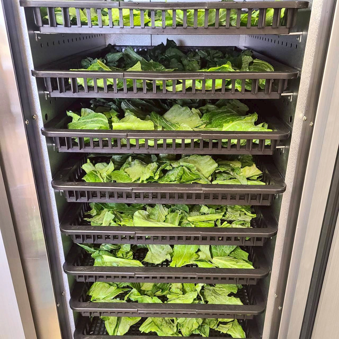 春キャベツまるごとパウダー 食物繊維を届ける春キャベツまるごとをそのまま粉末に 茨城県産（農薬・化学肥料・除草剤・防虫剤不使用）