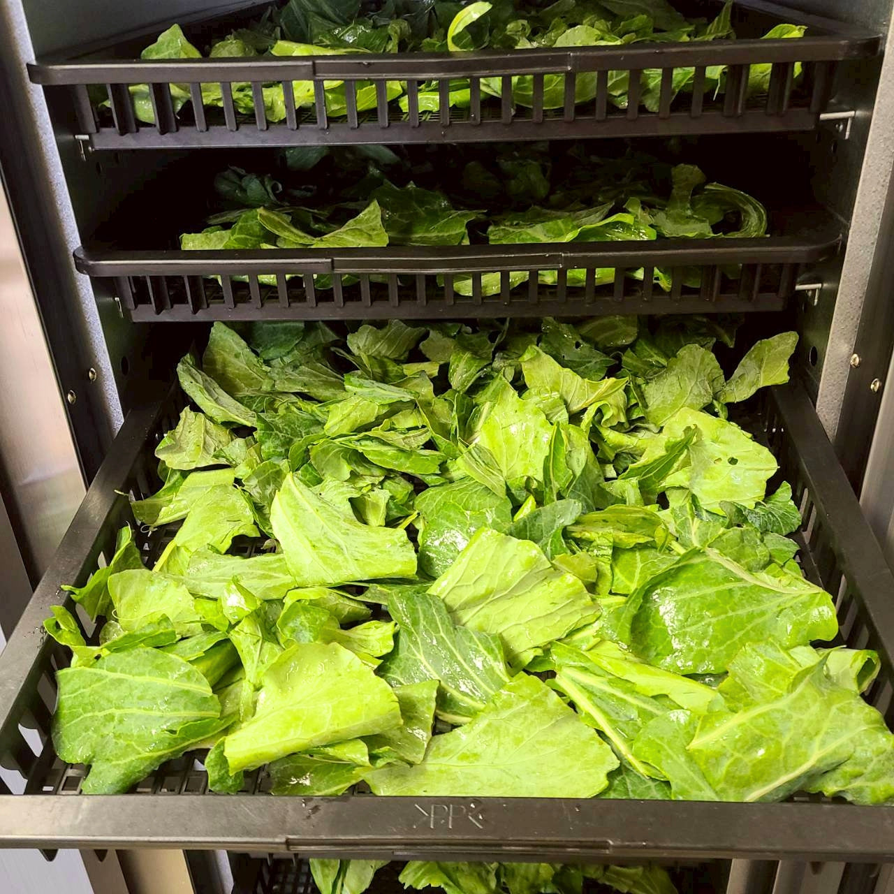 春キャベツまるごとパウダー 食物繊維を届ける春キャベツまるごとをそのまま粉末に 茨城県産（農薬・化学肥料・除草剤・防虫剤不使用）