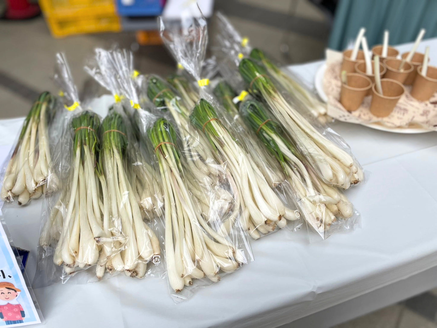 エシャレット（若採りらっきょう） シャキシャキ食感 味噌つけてそのまま丸かじり 茨城県産（農薬・化学肥料・除草剤・防虫剤不使用）