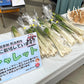 エシャレット（若採りらっきょう） シャキシャキ食感 味噌つけてそのまま丸かじり 茨城県産（農薬・化学肥料・除草剤・防虫剤不使用）