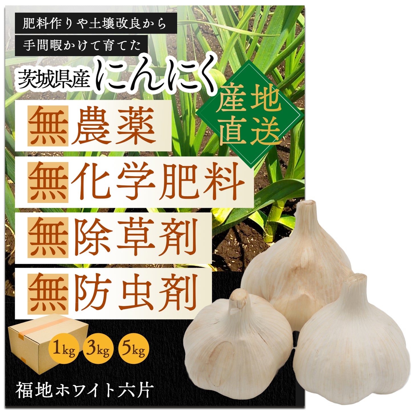 国产【茨城县】无农药无化肥零硝态氮大蒜（500g、1kg、2kg）