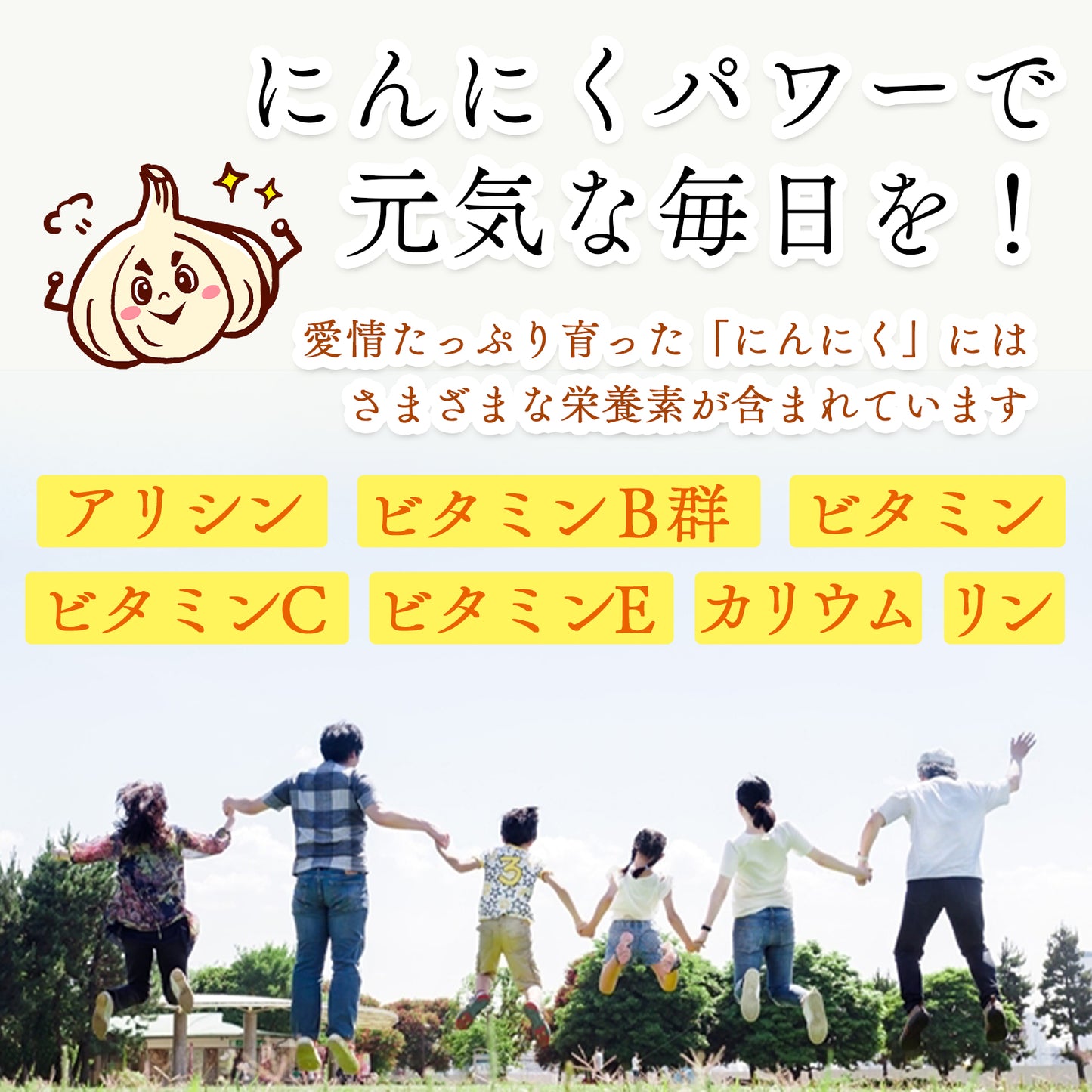 国产【茨城县】无农药无化肥零硝态氮大蒜（500g、1kg、2kg）