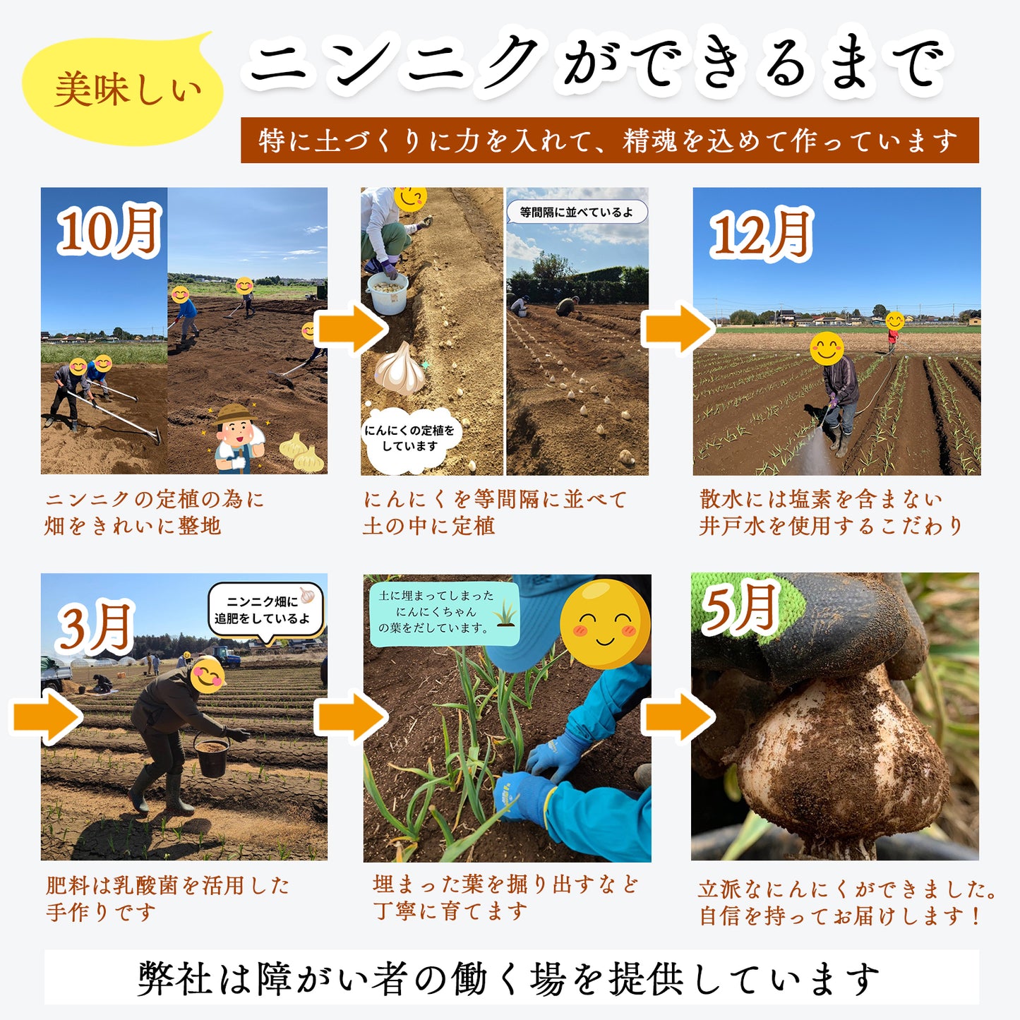 国产【茨城县】无农药无化肥零硝态氮大蒜（500g、1kg、2kg）