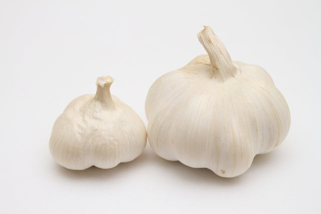 国产【茨城县】无农药无化肥零硝态氮大蒜（500g、1kg、2kg）