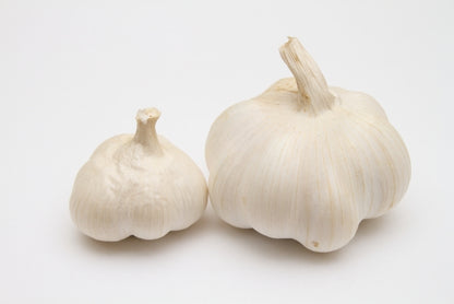 国产【茨城县】无农药无化肥零硝态氮大蒜（500g、1kg、2kg）