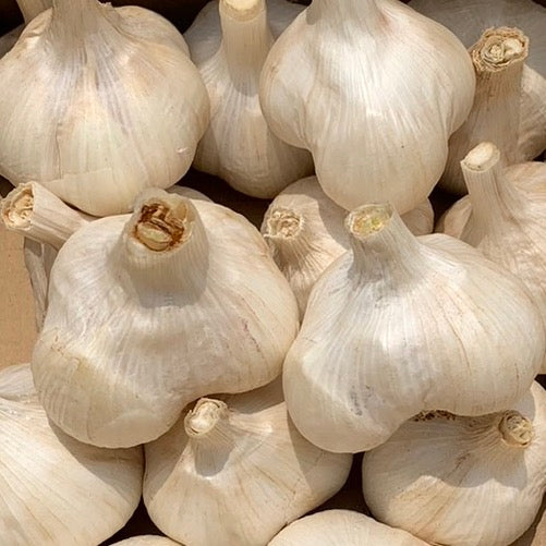 国产【茨城县】无农药无化肥零硝态氮大蒜（500g、1kg、2kg）